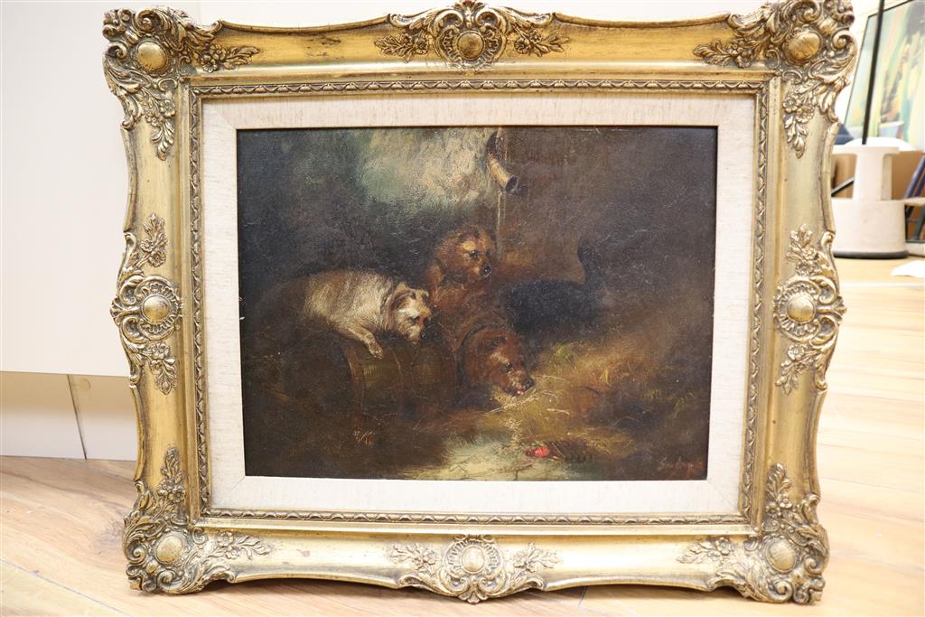 After George Armfield, oil on canvas, Terriers beside a rabbit hole, bears signature, 30 x 40cm